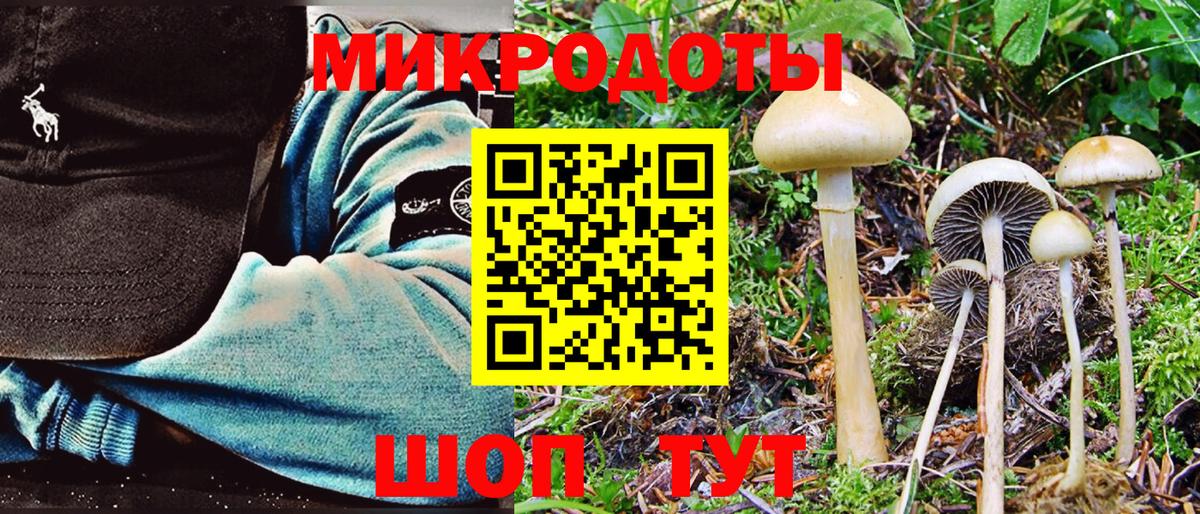 Галлюциногенные грибы Psilocybe  Псилоцибиновые грибы мухоморы  Вход с VPN  Каменка 